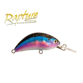 Nunc congue dui nec...