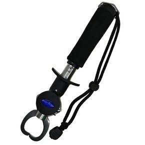 Nunc congue dui nec...