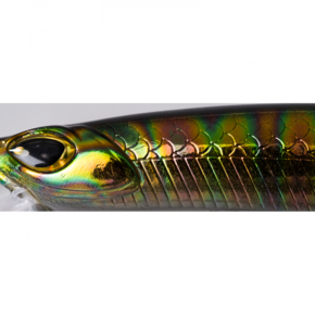 Nunc congue dui nec...