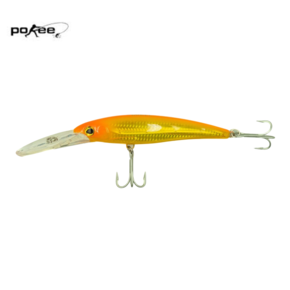 Nunc congue dui nec...