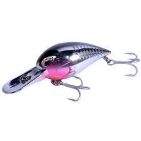 Nunc congue dui nec...