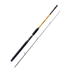 Nunc congue dui nec...