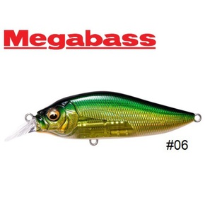 Nunc congue dui nec...