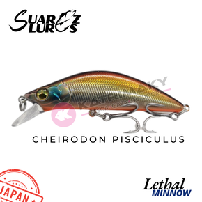 Nunc congue dui nec...