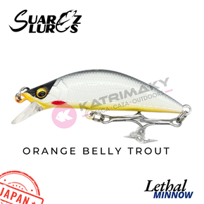 Nunc congue dui nec...