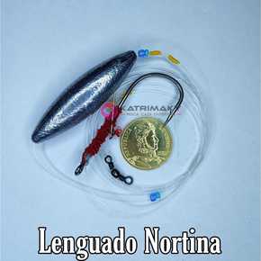 Nunc congue dui nec...