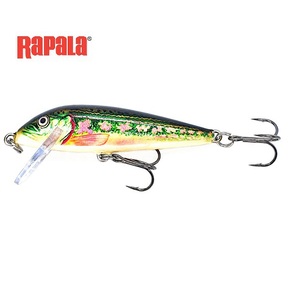 Nunc congue dui nec...