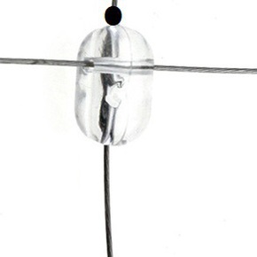 Nunc congue dui nec...