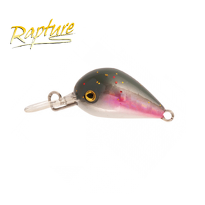 Nunc congue dui nec...