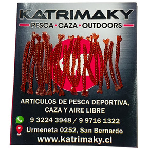 Nunc congue dui nec...