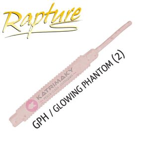 Nunc congue dui nec...