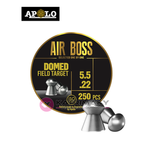 Nunc congue dui nec...