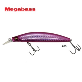 Nunc congue dui nec...