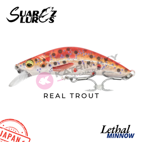 Nunc congue dui nec...