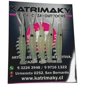 Nunc congue dui nec...